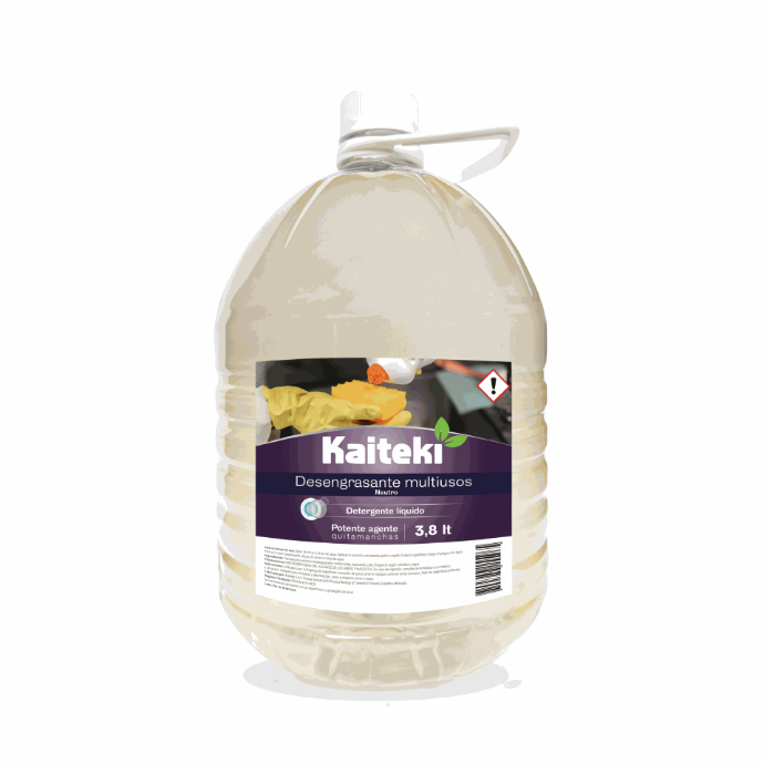 A DETERGENTE MULTIUSOS DESENGRASANTE 3.8L