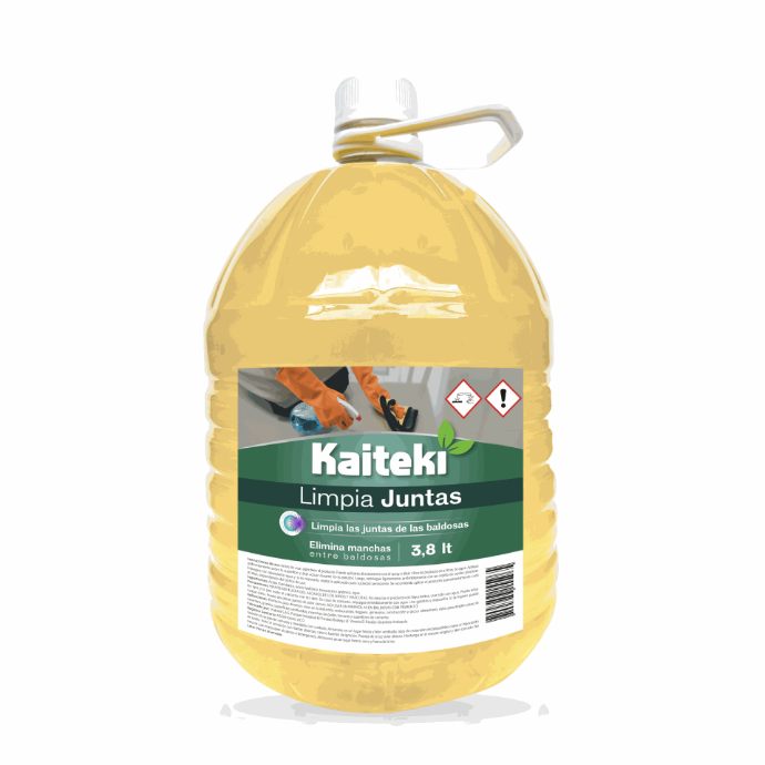 A LIMPIA JUNTAS 3.8L